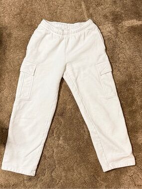 Aritzia Mega Cargo Pants